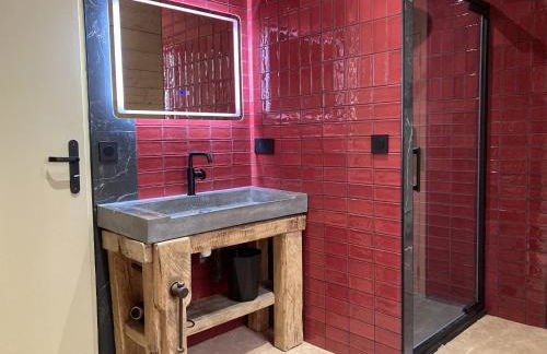 Maison Auvergnate Le repaire des Milans - Foto 35