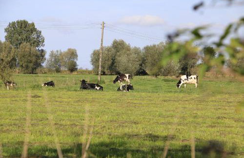 Agroturystyka Żuławiaczek - Foto 36