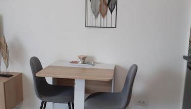 Studio climatisé avec une place de parking et classé 2 étoiles à la Faviére - Foto 4