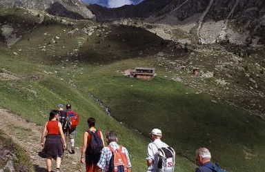 Residence Grünwald - Foto 16