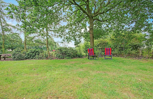 Cottage in Schijf With Garden - Foto 22