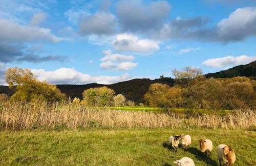 Rittergut Kleinvach - Foto 20