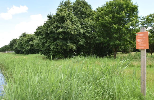 Holiday Home in Zeewolde With Pool - Foto 26