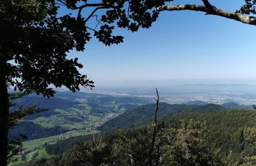 Am Wiiwegli Comfortable holiday residence - Foto 20