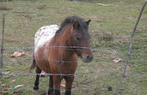 Gîte moderne avec accès indépendant, proche centre-ville et Thermes, terrasse et équipements inclus - FR-1-589-57 - Photo 17