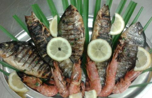 Agriturismo la Mimosa - Foto 14