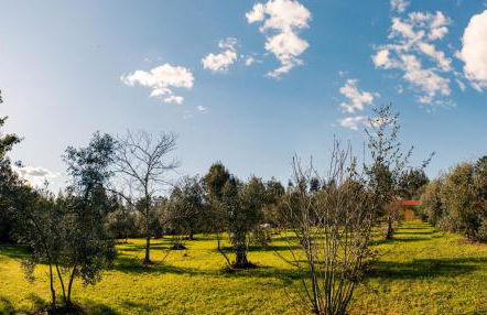 Quinta-lina de serpins - Foto 62