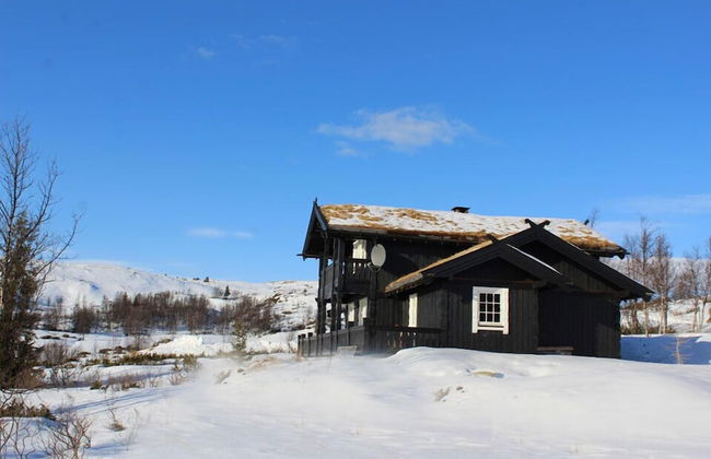 Kvitebjørn Cabin - Ål - Foto 17