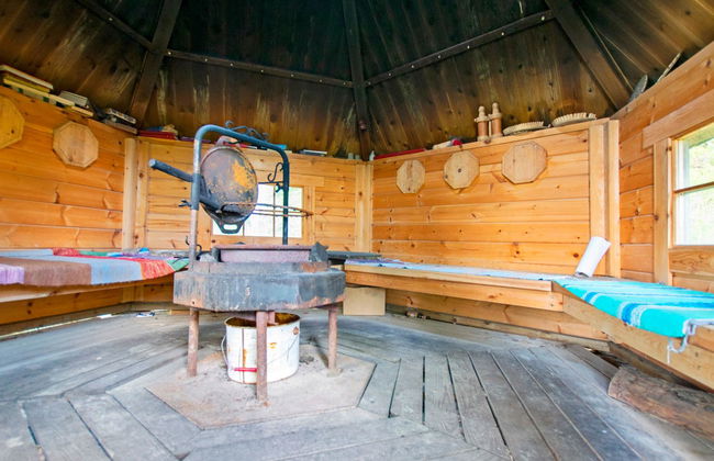 Heinäsorsa - Foto 24