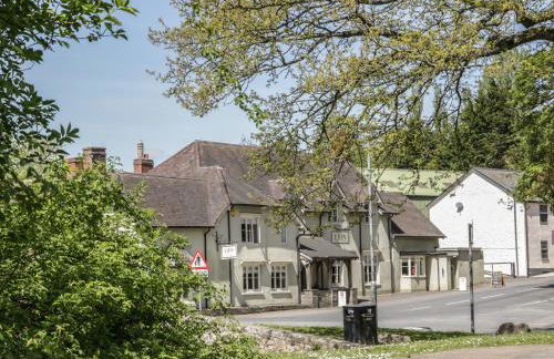 Fern House - Foto 25