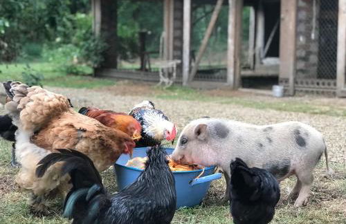 Wohnung für 12 Personen mit 6 Bädern - Photo 18
