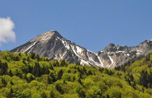 Ferienwohnung Andrea - Photo 4