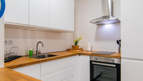 Flexible SelfCheckIns 110 - Zagreb - Private Parking - Loggia - Foto 5, stove, dishwasher