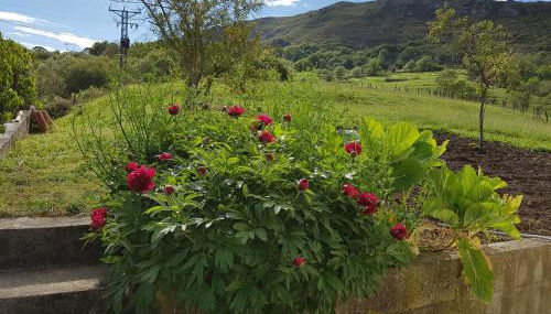 La Maria Diego - Foto 5, Garden