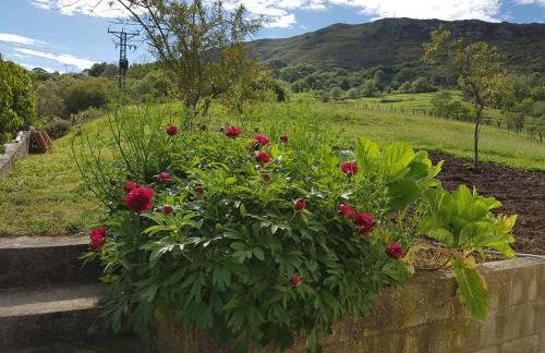 La Maria Diego - Foto 5