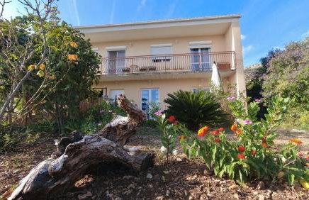 Apartman Dolores - Foto 16