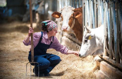 appartamento Colticciola Agriturismo Marche - Foto 26