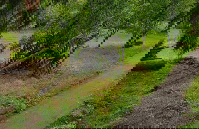 Lovely Apartment in Straelen - Photo 17