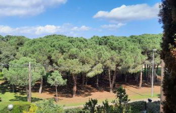 Apartamento de standing Calella de Palafrugell - Foto 4