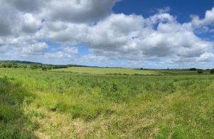 The Saddlehouse at Wykeham - Foto 3