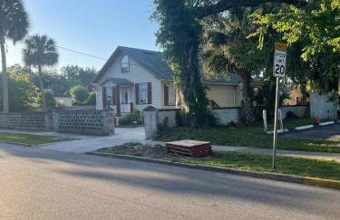 Little Carnation - Foto 15