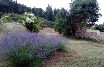 Summer House Krištof - Photo 19