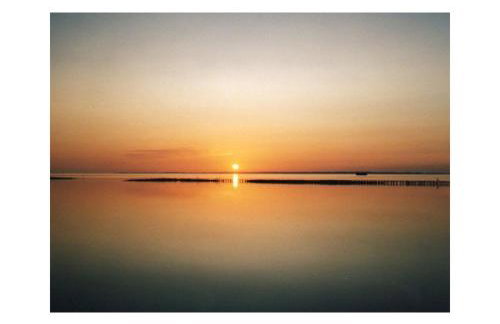 Friesenblau im Haus Schladenhaufen - Foto 6
