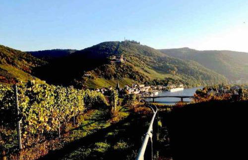 Wohnen direkt am Moselstrand - Foto 40