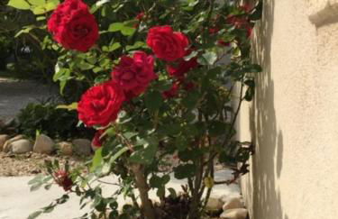 gîtes la ferme de marguerite - Foto 59