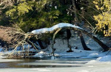 Paddler's Paradise Cabin with Direct Trail Access! - Foto 72