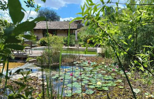 Quinta do Arade - casa 4 pétalas - Foto 53