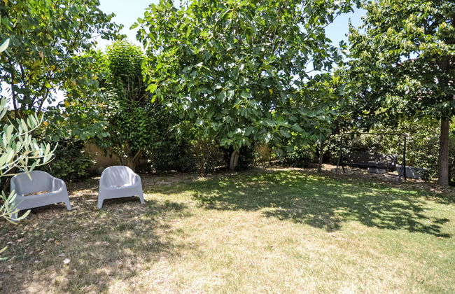 Les Angevines - Foto 48