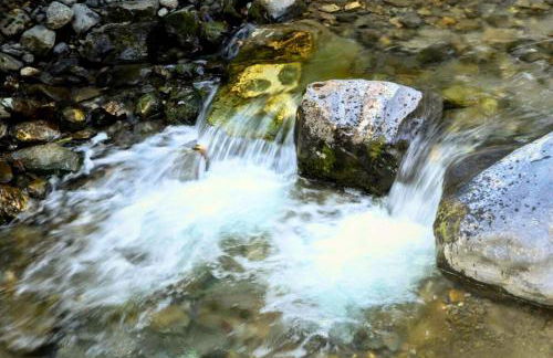 Villa Delle Rose - Foto 10