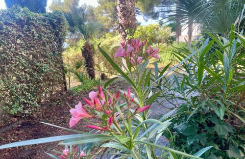 Villa Lilli - Foto 12