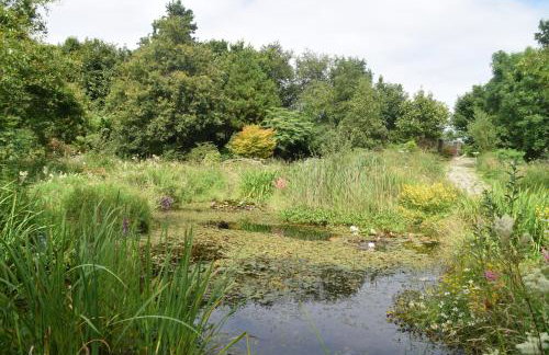 Clonaslee House - Foto 36