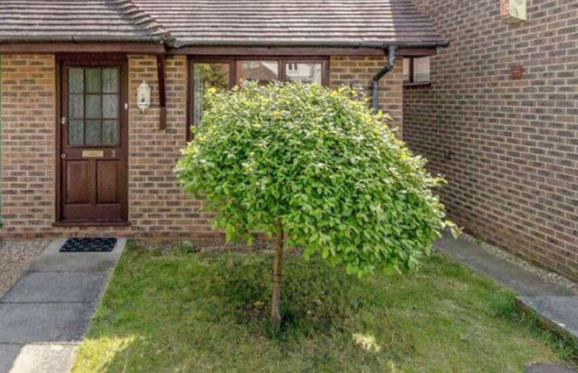 Grace Apartments - Living Stream 1 - Foto 27