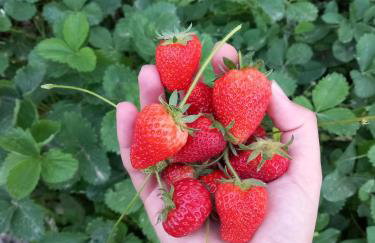 Katafigio Home in Tsagkarada Village - Foto 49