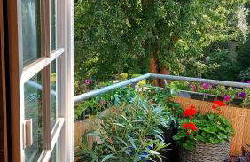 Altstadtapartment an der Krämerbrücke - Foto 24