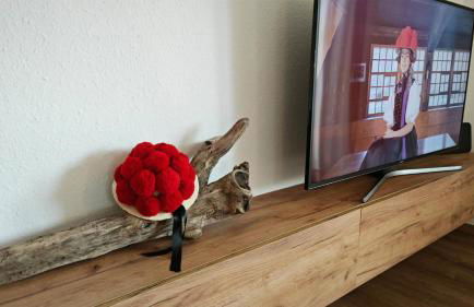 Schwarzwaldraum Schlossblick - Foto 7