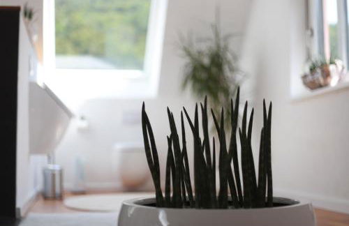 Ferienwohnungen Ries - Photo 34