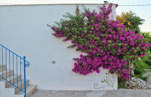 Case Vacanze La Margherita Fronte Mare - Foto 59