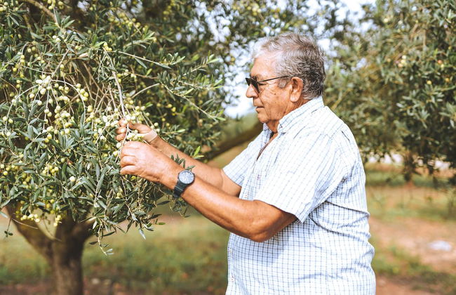 Agroturisme Son Barceló Mas - Foto 63