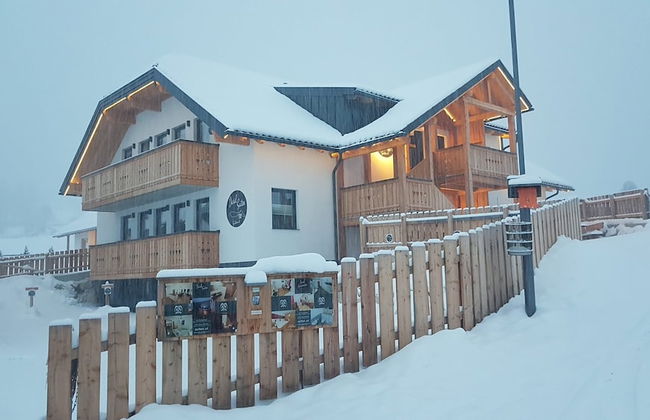 David Suiten - Foto 53