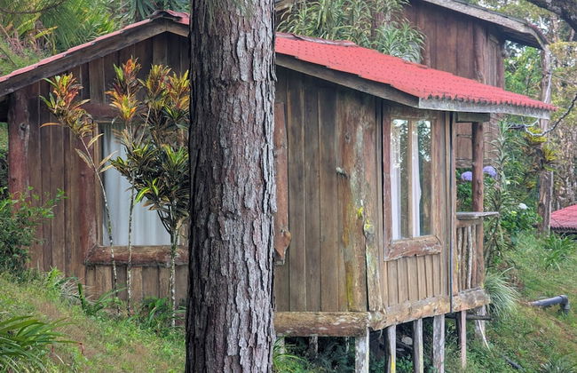 Campos de Oro Wilderness Lodge - Photo 66