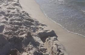 in die Ferien mit 16 Freunden - Foto 48