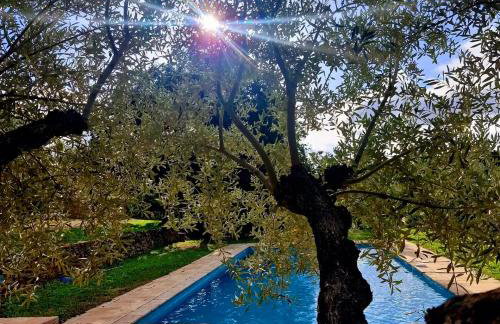 Maison de Caractère située au coeur des domaines viticoles de BANDOL - Foto 30