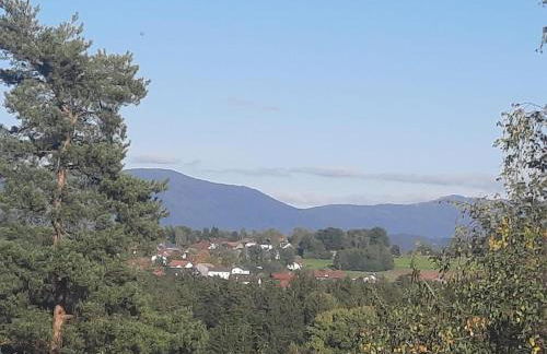 Haus Amann - Foto 25