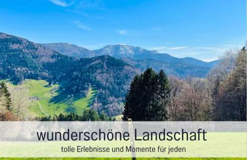 Ferienwohnungen Auszeit Langmatt - Foto 40