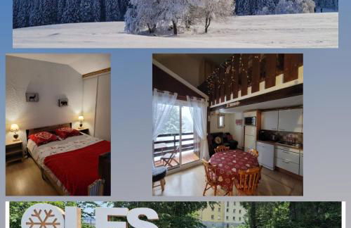 LE CHALET des 3 Sapins, Superbe Duplex Montagnard avec balcon, au calme - Les Rousses, Draps inclus & Parking gratuit - Foto 39
