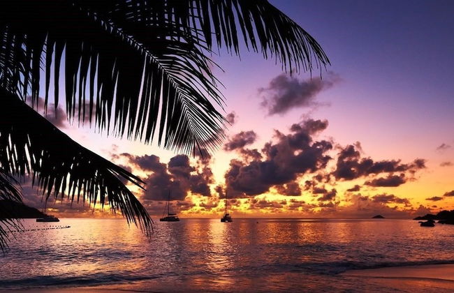 South Point Villas - Photo 48